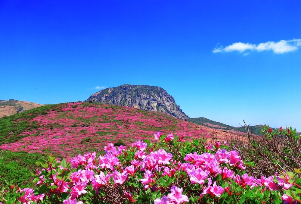 漢拏山