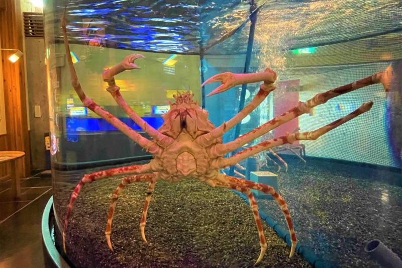 かにっこ館