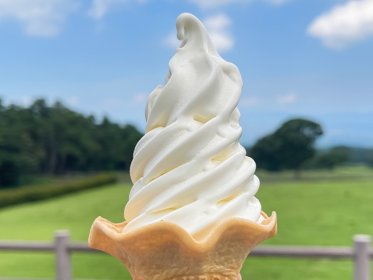 白バラソフトクリーム